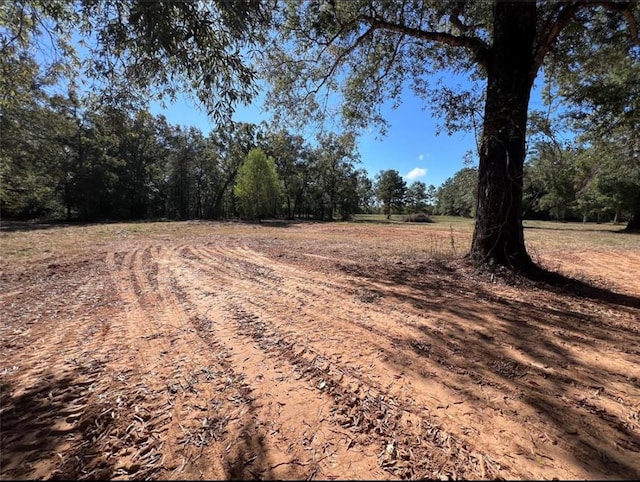485 County Road 2173, Cleveland, TX 77327 - photo 2