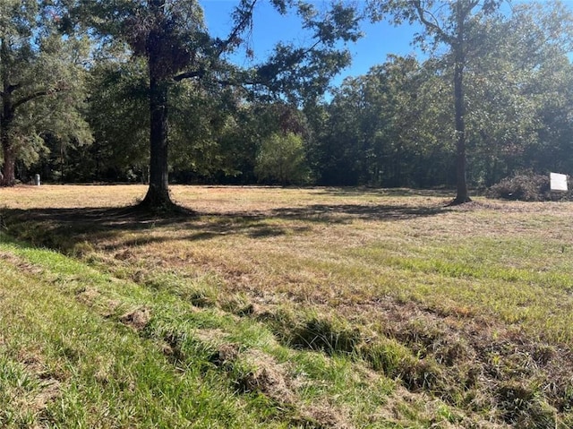 485 County Road 2173, Cleveland, TX 77327 - photo 3