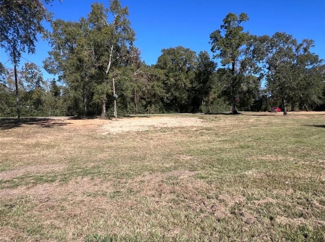 485 County Road 2173, Cleveland, TX 77327 - photo 5