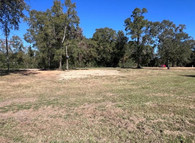 485 County Road 2173, Cleveland, TX 77327 - photo 7