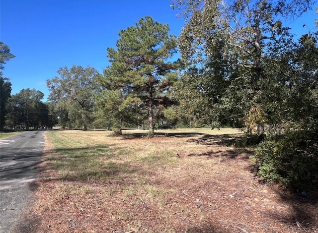 485 County Road 2173, Cleveland, TX 77327 - photo 8