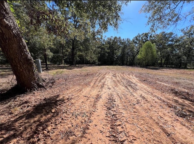 485 County Road 2173, Cleveland, TX 77327 - photo 10