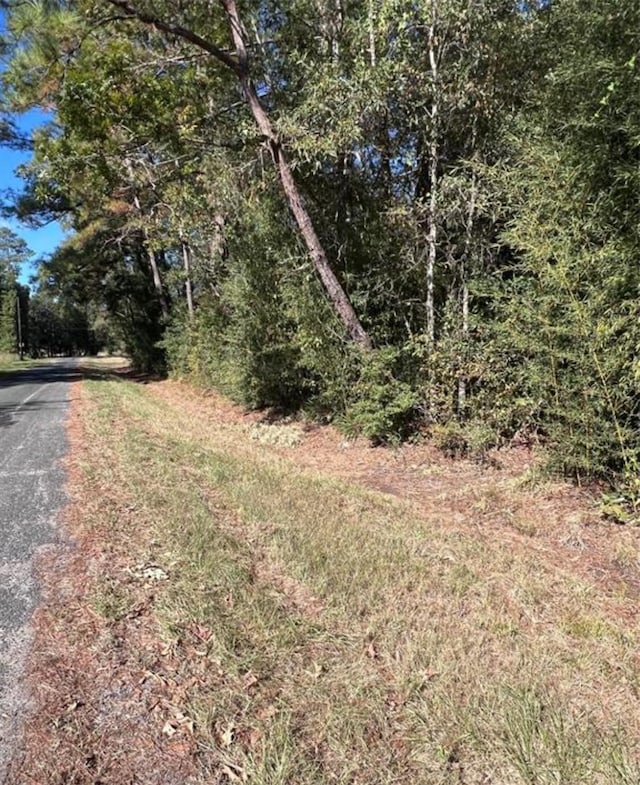 485 County Road 2173, Cleveland, TX 77327 - photo 11