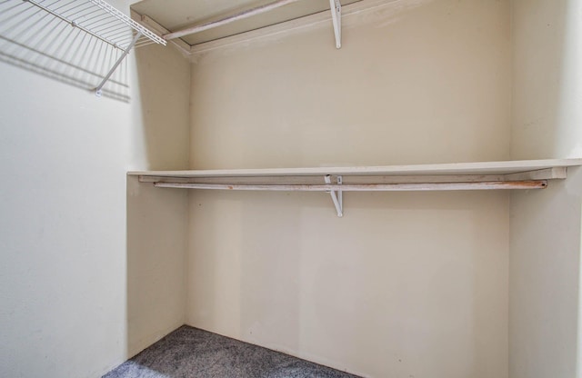 2516 Vaughn St, Houston, TX 77093 - spacious closet featuring carpet floors and attic access