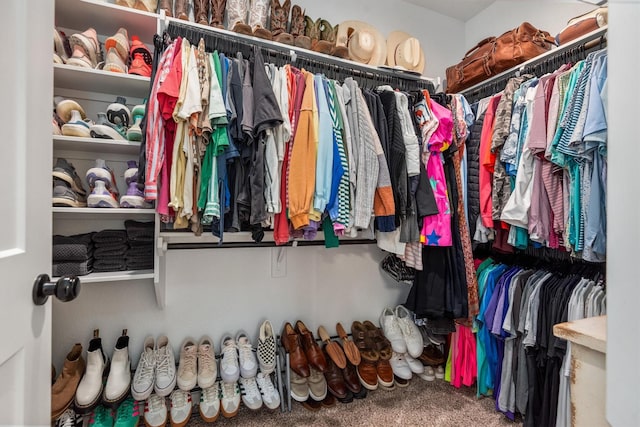 7906 Pershing Ave, Magnolia, TX 77354 - walk in closet with carpet floors
