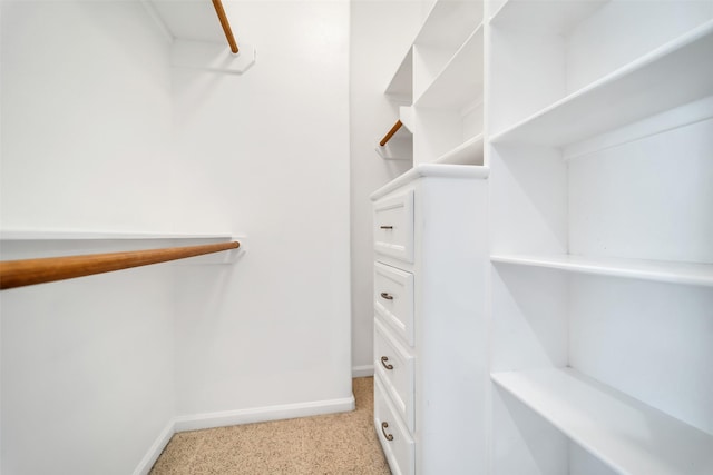 542 Bomar St, Houston, TX 77006 - spacious closet with light carpet