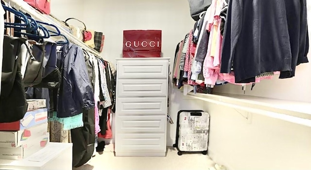 2006 Buffalo Ter, Houston, TX 77019 - view of walk in closet