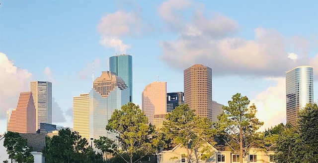 2006 Buffalo Ter, Houston, TX 77019 - skyline view