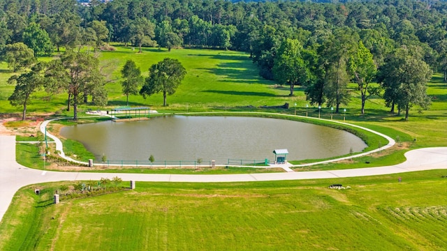 12840 Bentwood Farms Trce, Montgomery, TX 77356 - photo 3