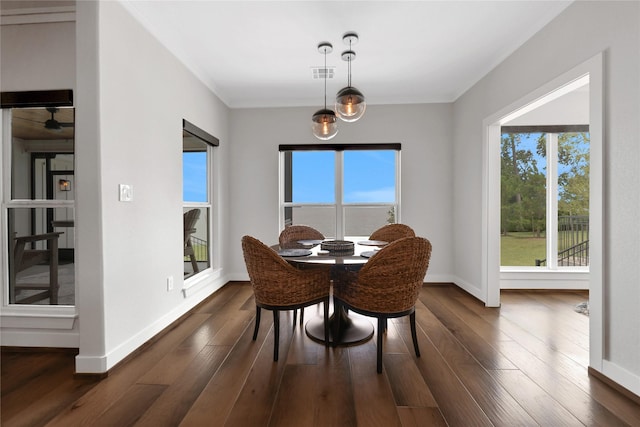 110 Penguin Pt, Point Blank, TX 77364 - dining area with plenty of natural light, dark wood-style floors, and crown molding