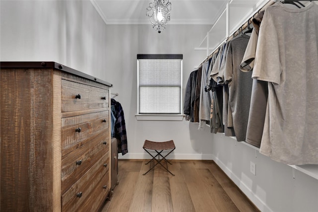 110 Penguin Pt, Point Blank, TX 77364 - walk in closet featuring wood finished floors