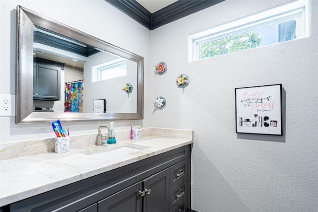 3217 Parkwood Dr, Houston, TX 77021 - bathroom with vanity, a textured wall, and crown molding