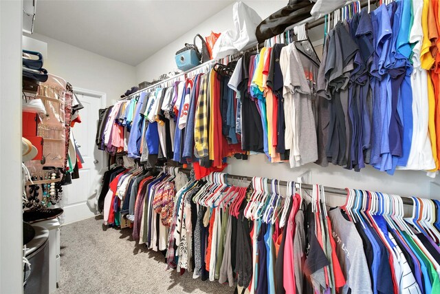 22223 Ebbets Field Dr, Spring, TX 77389 - walk in closet featuring carpet