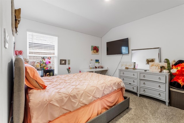 1008 Llano Trl, Dayton, TX 77535 - photo 14