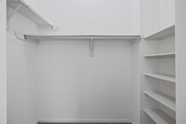 3307 La Seine Ln, Spring, TX 77388 - view of walk in closet