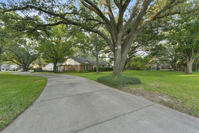 2915 Katy Hockley Rd, Katy, TX 77493 - ranch-style house featuring concrete driveway and a front lawn