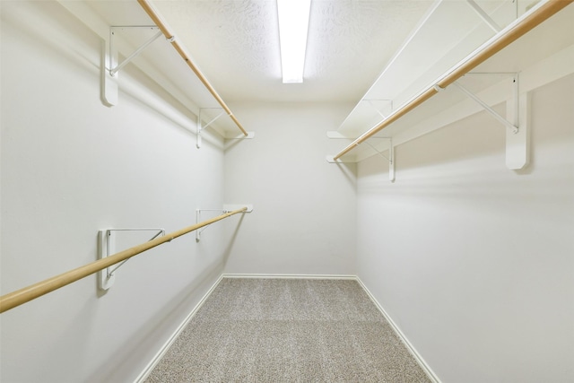 6611 Atasca Creek Dr, Humble, TX 77346 - walk in closet featuring carpet floors