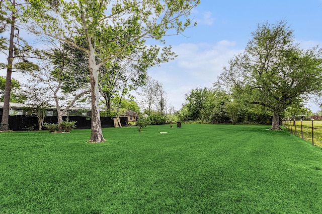 6302 Amie Ln, Pearland, TX 77584 - view of yard