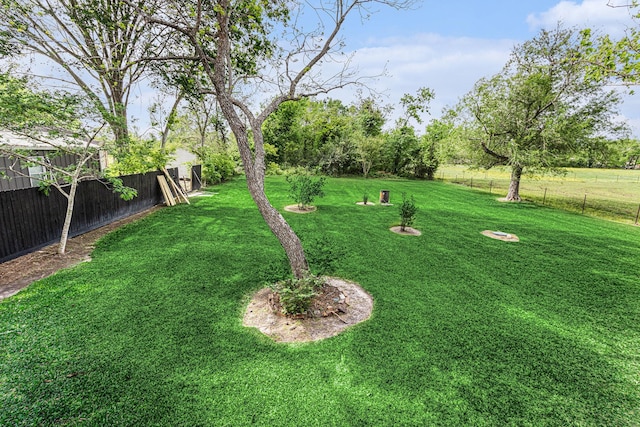 6302 Amie Ln, Pearland, TX 77584 - view of yard