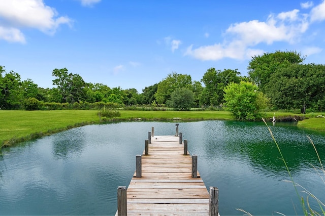 9204 Delesandri Dr, Hitchcock, TX 77563 - photo 44