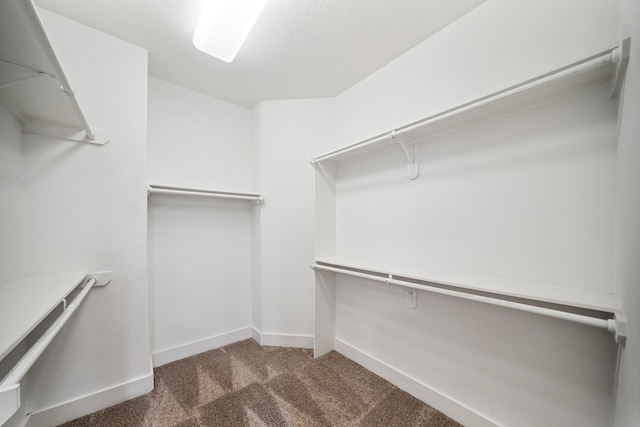 4106 Kolb St, Houston, TX 77007 - spacious closet with carpet