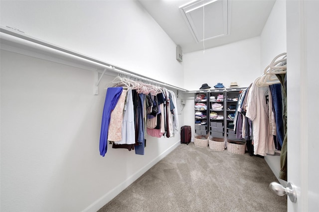 15715 Holloway Creek Ct, Houston, TX 77044 - spacious closet featuring attic access and carpet flooring