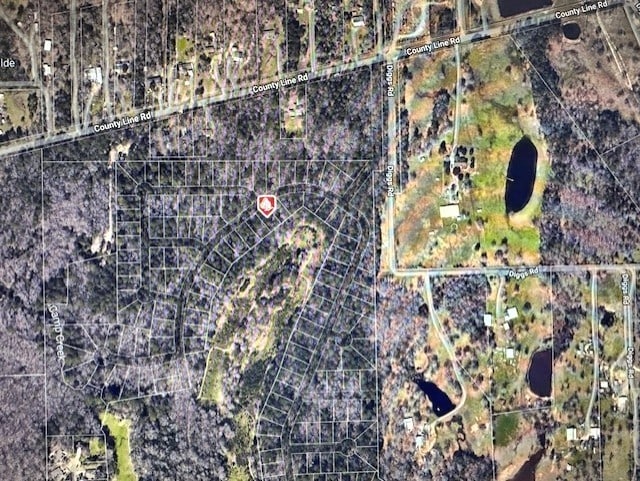 000 County Line Rd, Willis, TX 77378 - photo 4