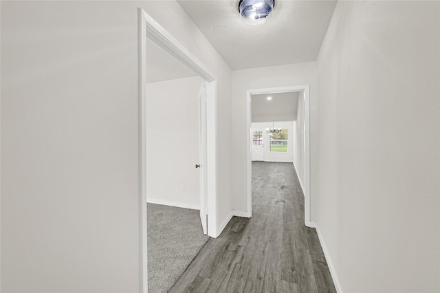 11807 Oceanview St, Missouri City, TX 77071 - corridor with wood finished floors and a textured ceiling
