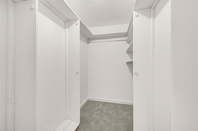 11807 Oceanview St, Missouri City, TX 77071 - walk in closet featuring carpet floors