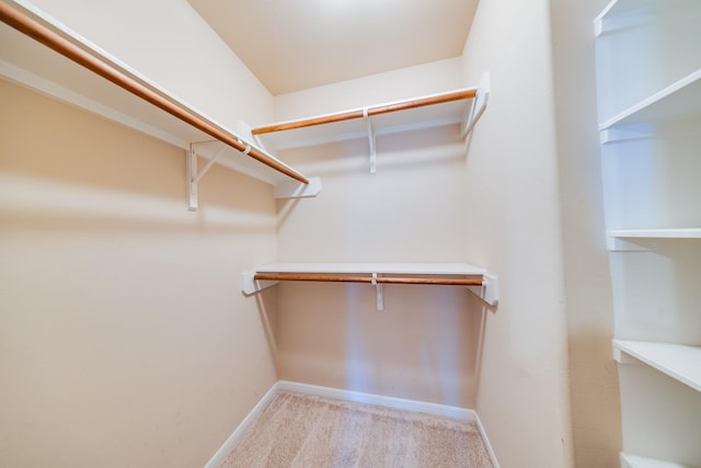 9415 Cholla Hill Ct, Houston, TX 77064 - walk in closet with carpet