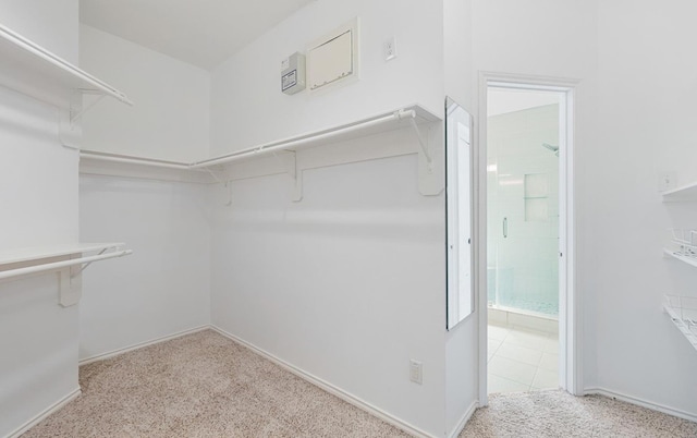 21331 Willow Glade Dr, Katy, TX 77450 - spacious closet with carpet flooring