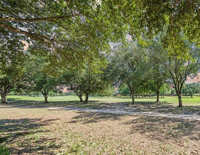 21331 Willow Glade Dr, Katy, TX 77450 - view of grassy yard
