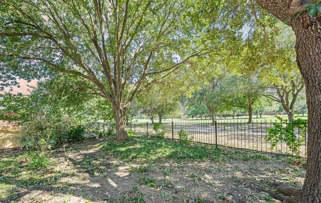 21331 Willow Glade Dr, Katy, TX 77450 - view of yard