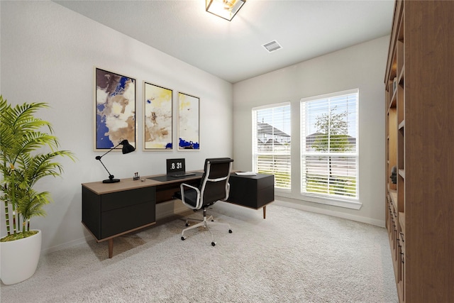 308 Spruce Oak Ln, Waller, TX 77484 - office space with light colored carpet and baseboards