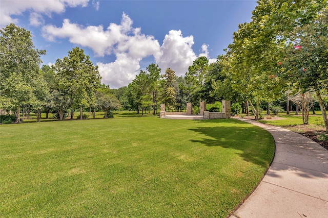 15818 Tremout Hollow Ln, Houston, TX 77044 - photo 45