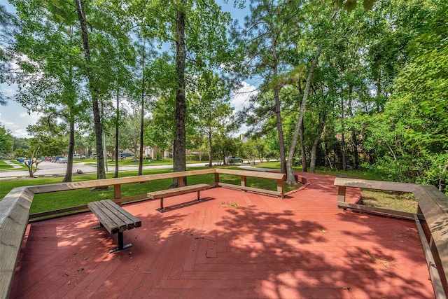 15818 Tremout Hollow Ln, Houston, TX 77044 - photo 46