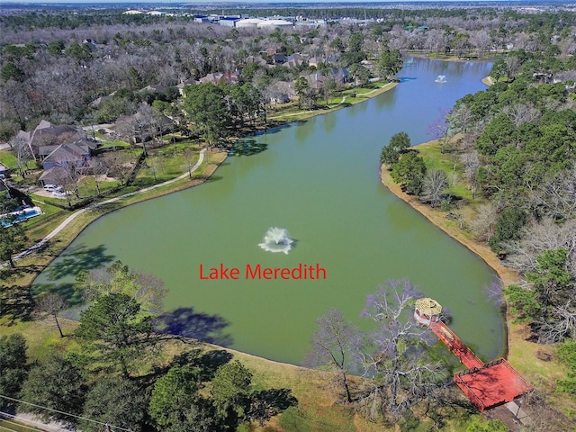 15818 Tremout Hollow Ln, Houston, TX 77044 - photo 48
