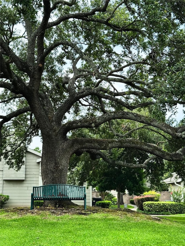 12991 Wirevine Ln, Houston, TX 77072 - view of green lawn