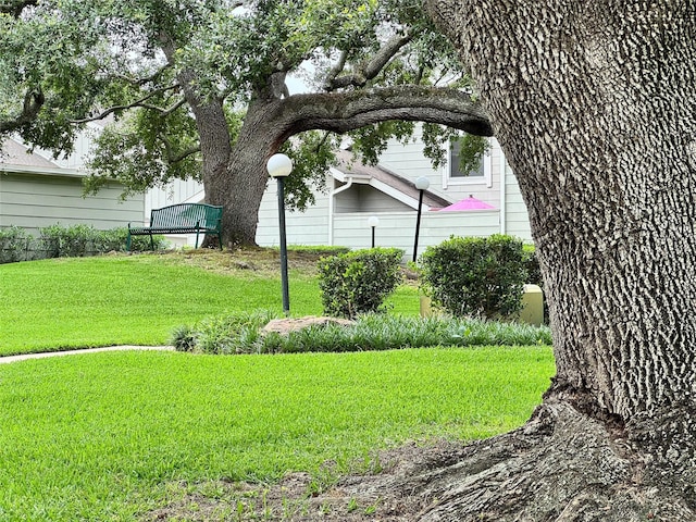 12991 Wirevine Ln, Houston, TX 77072 - view of green lawn