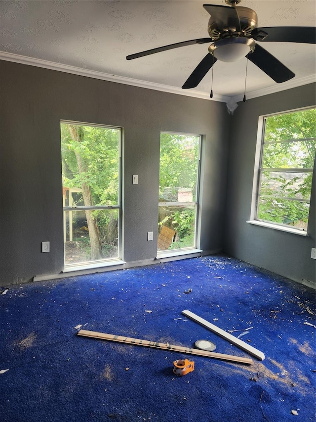 2926 Wimberly St, Houston, TX 77093 - empty room featuring carpet, ornamental molding, and ceiling fan