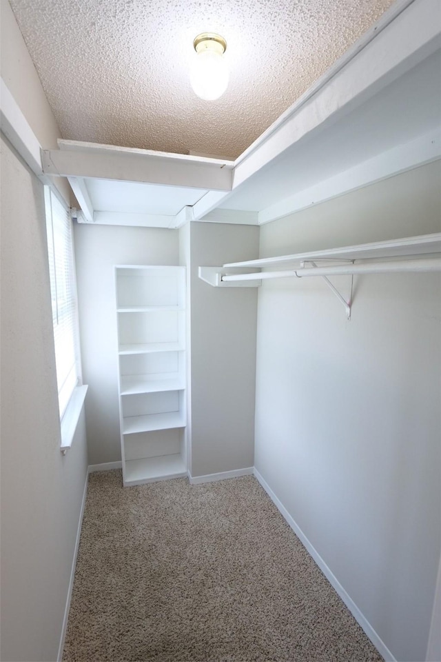 20246 Pittsford Dr, Katy, TX 77450 - walk in closet featuring carpet flooring