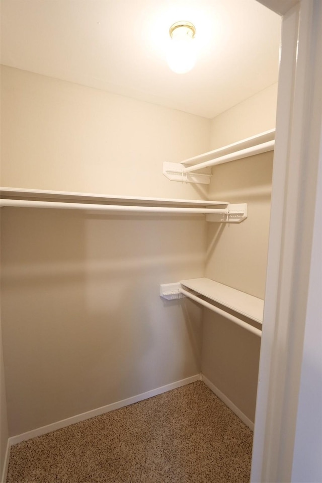 20246 Pittsford Dr, Katy, TX 77450 - view of spacious closet