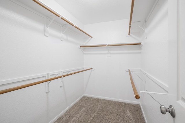 17919 Eagle Pass Falls Ct, Humble, TX 77346 - spacious closet featuring carpet