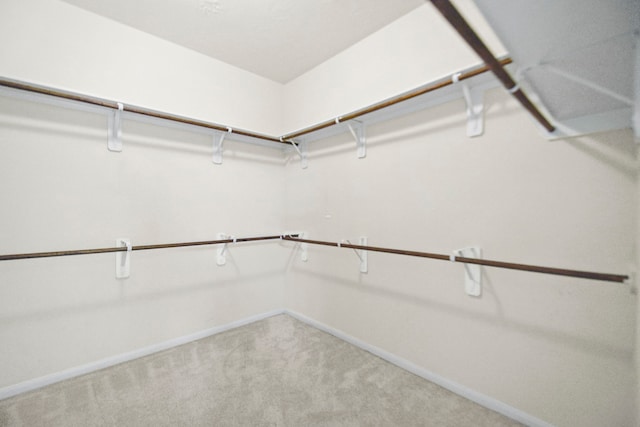15107 Sequoia Meadow Ct, Humble, TX 77346 - walk in closet with carpet floors