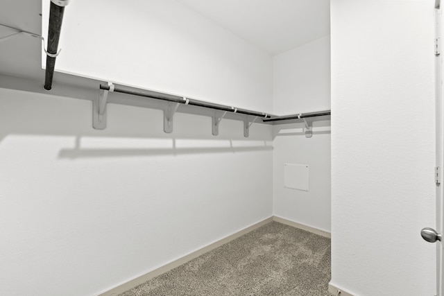 207 William Ln, Rosharon, TX 77583 - spacious closet with carpet floors