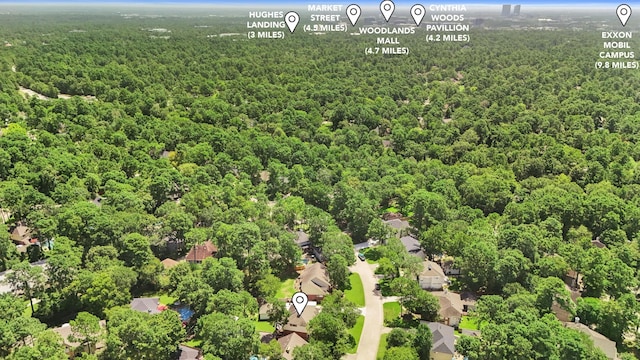 31 Treescape Cir, The Woodlands, TX 77381 - photo 44