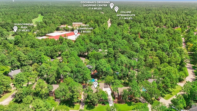 31 Treescape Cir, The Woodlands, TX 77381 - photo 43