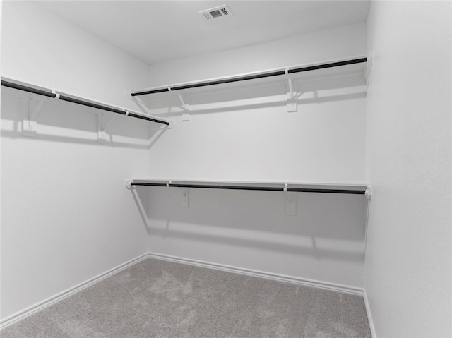 306 N Orange St, Sweeny, TX 77480 - spacious closet with carpet flooring