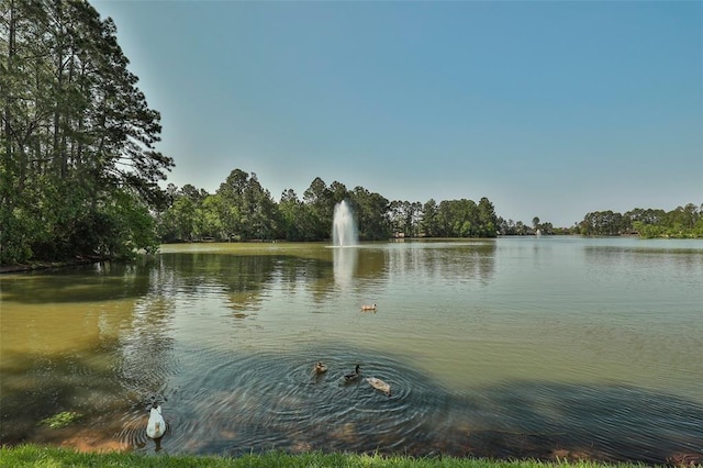 6518 Briarstone Ln, Spring, TX 77379 - photo 45