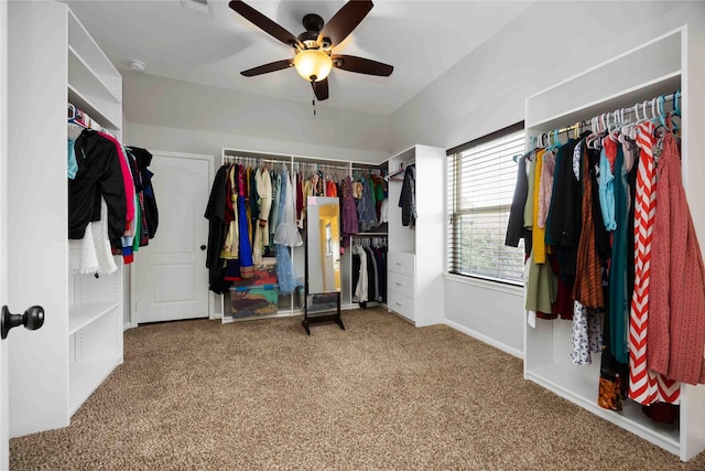 4306 Dalea Clover Ln, Manvel, TX 77578 - walk in closet with carpet and a ceiling fan